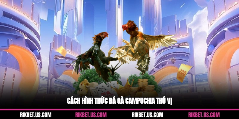 Cách hình thức đá gà campuchia thú vị