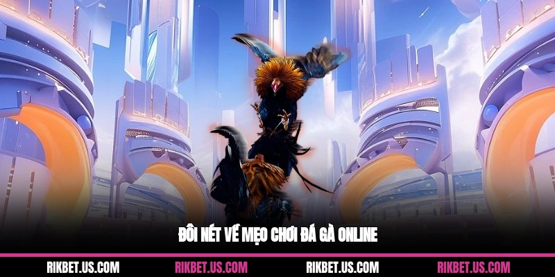 Đôi nét về mẹo chơi đá gà online
