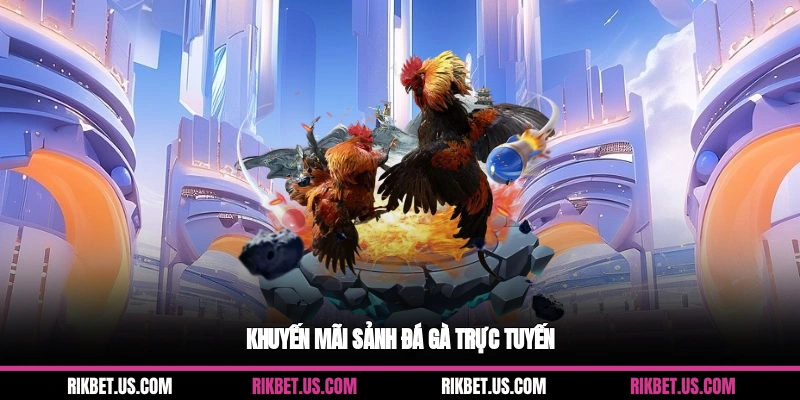 Khuyến mãi sảnh đá gà trực tuyến