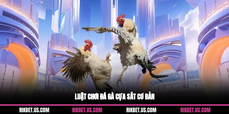 Luật chơi đá gà cựa sắt cơ bản