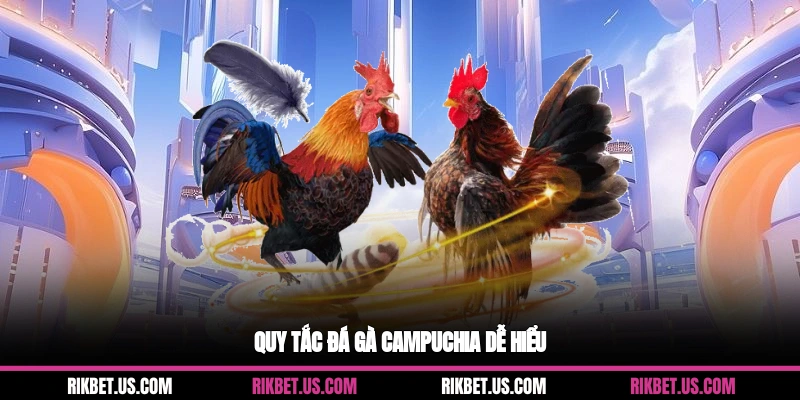 Quy tắc đá gà campuchia dễ hiểu