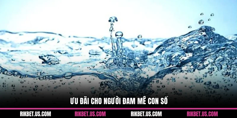 Ưu đãi cho người đam mê con số