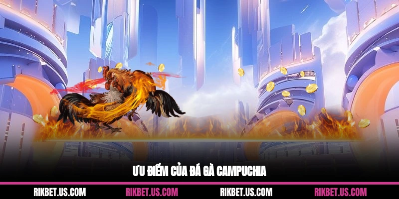 Ưu điểm của đá gà campuchia